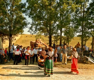 belforte (56)
